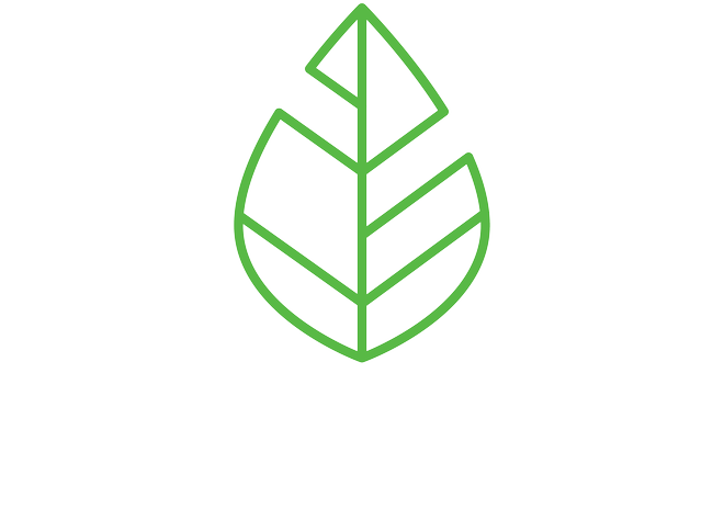 NIATEA 