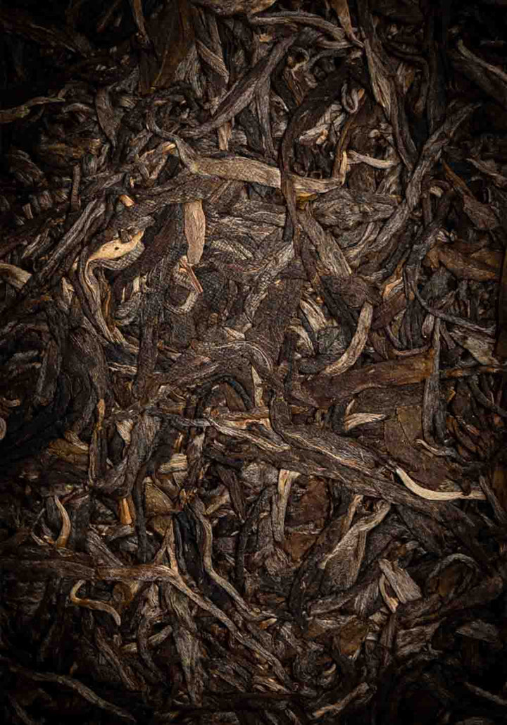 Ein ansprechendes Foto von einzelnen Pu Erh Tee Blättern