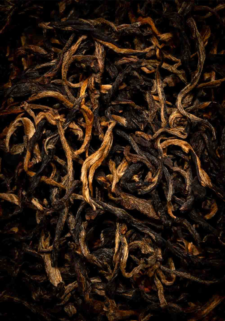Ein ansprechendes Foto von einzelnen getrockneten Schwarztee Blättern