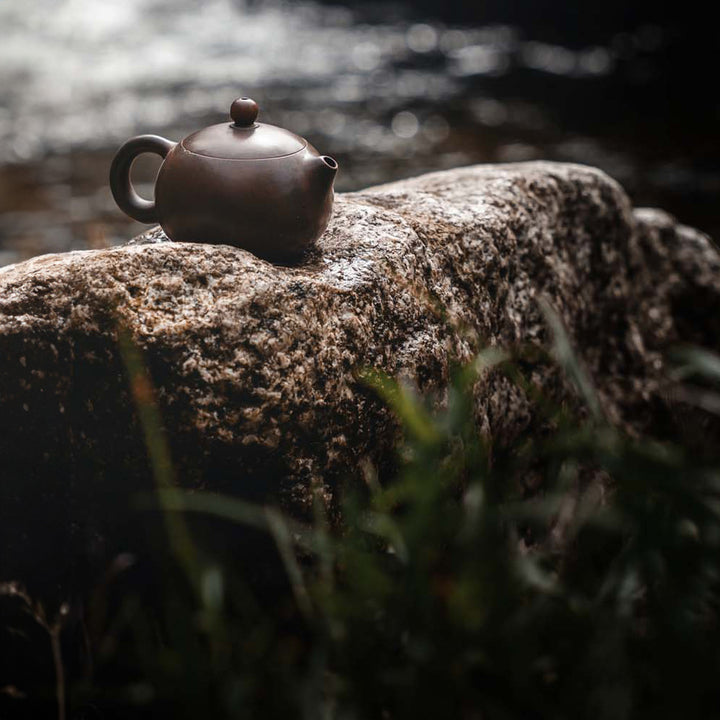 Ein ansprechendes Foto einer Gong Fu Teekanne auf einem Stein