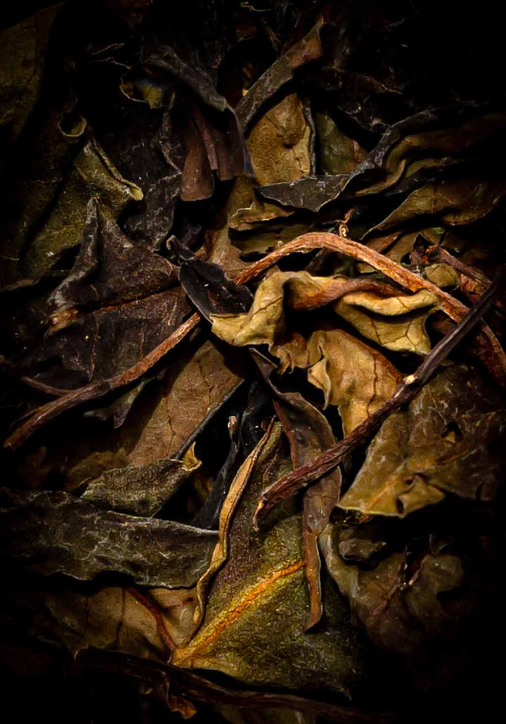 Ein ansprechendes Foto von einzelnen getrockneten Weiß Tee Blättern